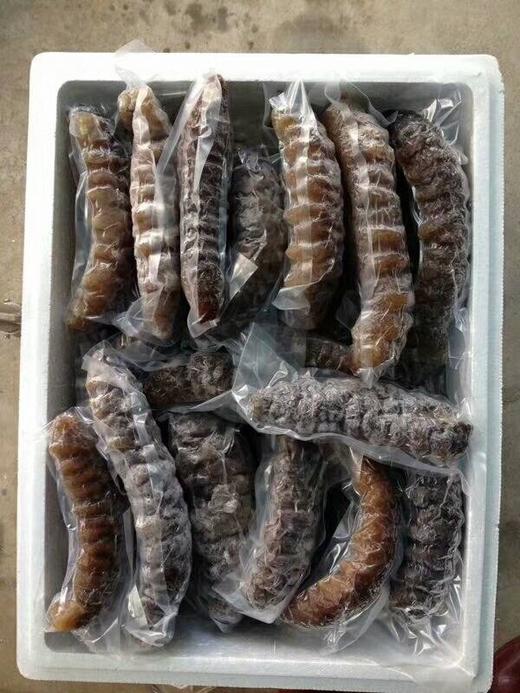 螺纹参650克 商品图3