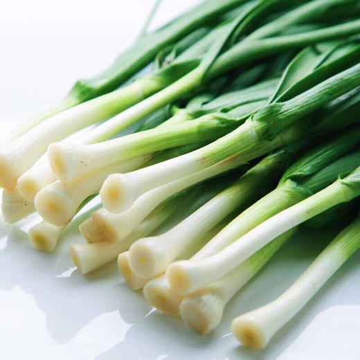 青蒜苗蒜苗