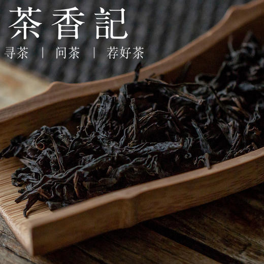 茶香记陈年马头岩肉桂1996年陈年岩茶好喝难寻正岩山场