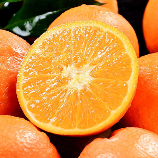 纽荷尔脐橙 多汁果肉饱满 果园当日直采新鲜无防腐剂