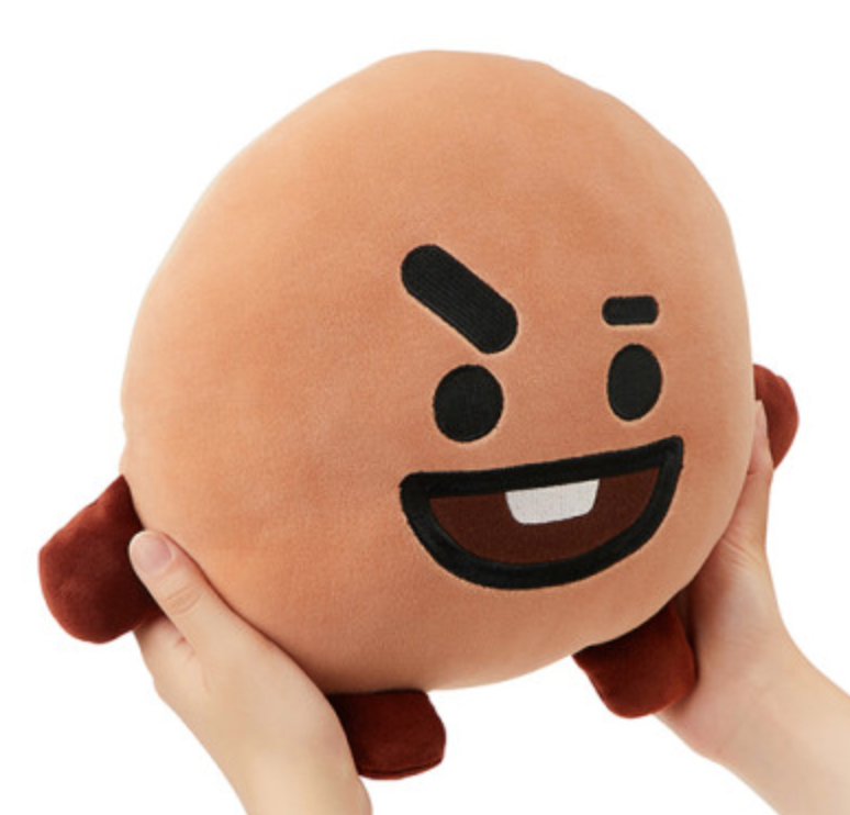 line friends bt21 shooky基本脸垫商品详情微信支付