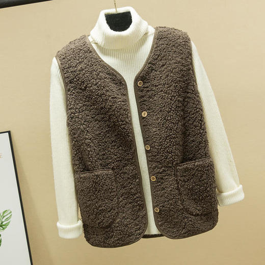 DS-6601新款仿羊羔毛皮毛一体背心马甲外套 商品图3