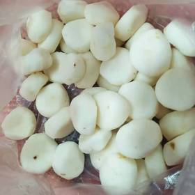 马蹄 钱葱