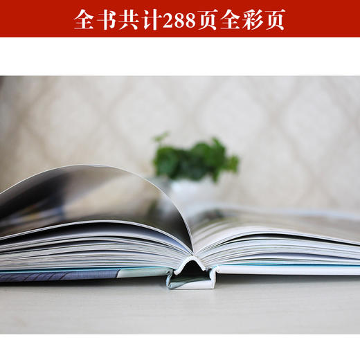 文化自信系列绘本孔子青少年成长儿童故事书传统文化入门读物 商品图3