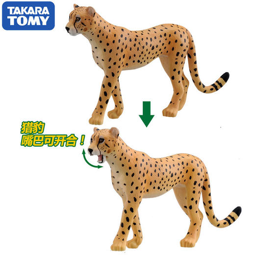 安利亚 - ANI-492139猎豹 商品图3