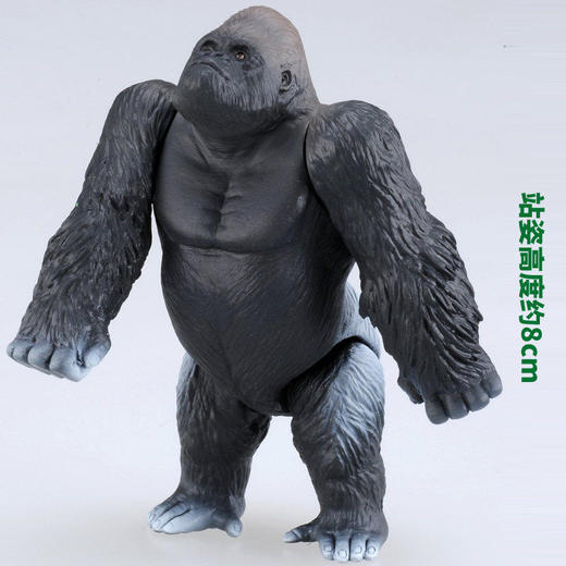 安利亚 - ANI-487999大猩猩 商品图3