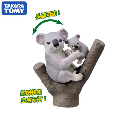 安利亚 - ANI-811268树袋熊 商品图2