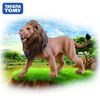 安利亚 - ANI-894186野生狮子 商品缩略图3