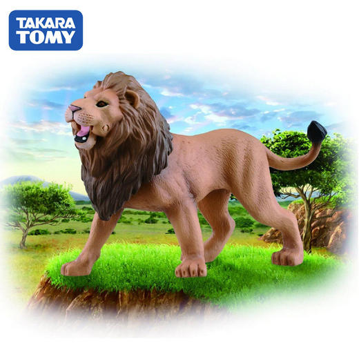 安利亚 - ANI-894186野生狮子 商品图3