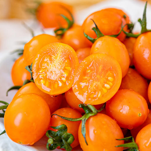 珠珠小番茄一颗颗当水果吃爆浆爽甜