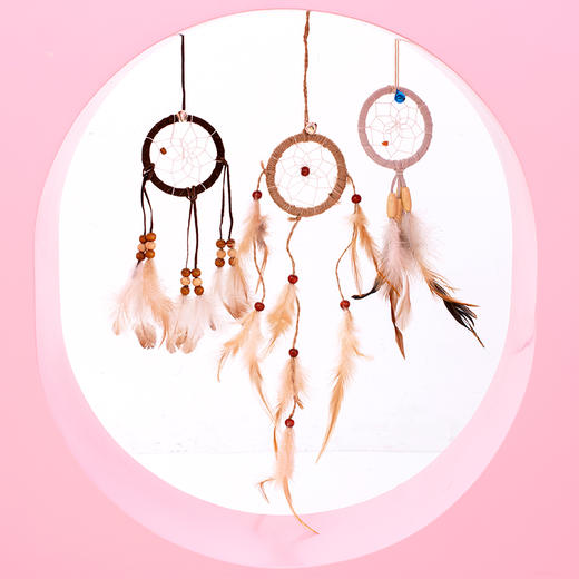 猫咪玩具捕梦网逗猫棒 商品图0