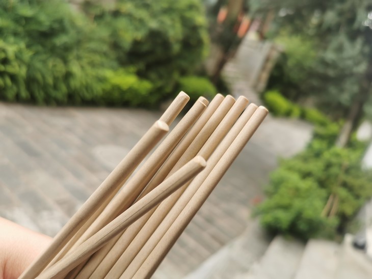 稻壳筷子稻壳筷子耐用防霉防油易清洗家用健康环保筷子耐高低温防滑长