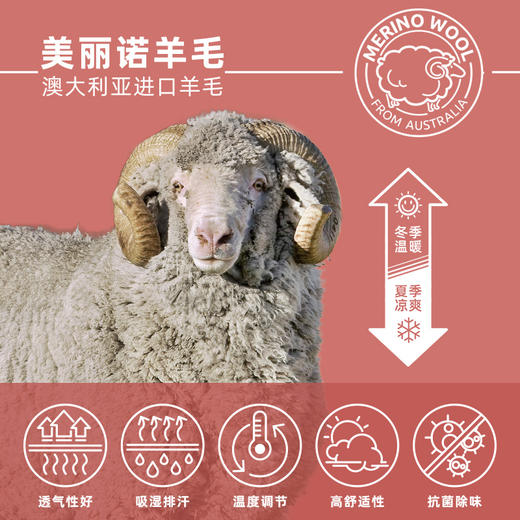 116元/2双起ZEALWOOD赛乐原宿风美利奴羊毛袜子男女浅口夏季防臭透气防滑船袜短袜男女 商品图2