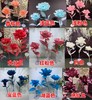 雪莲花【运费自理】 商品缩略图0