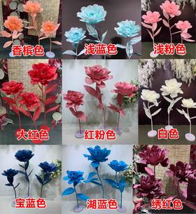 雪莲花【运费自理】