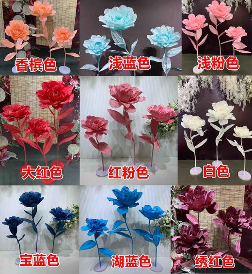 雪莲花【运费自理】 商品图0