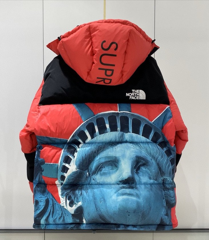 北面supreme 20fw联名款 科技防水自由女神羽绒服 情侣款