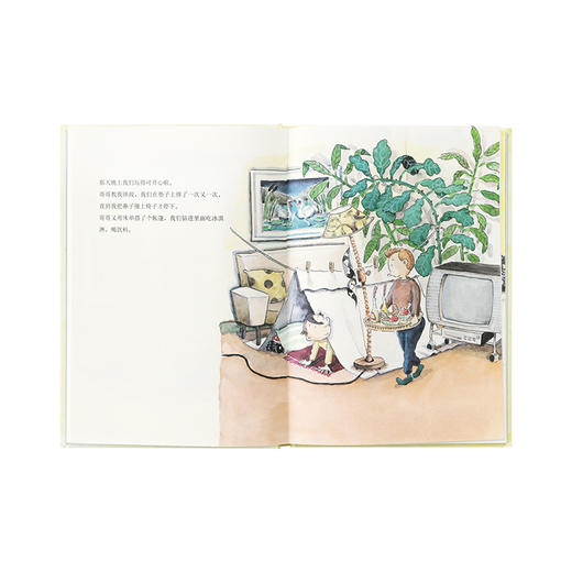 《哥哥》陪伴之余，哥哥和弟弟总会共同成长 情感启蒙 家庭关系 成长体验 3-6岁 读小库 商品图1