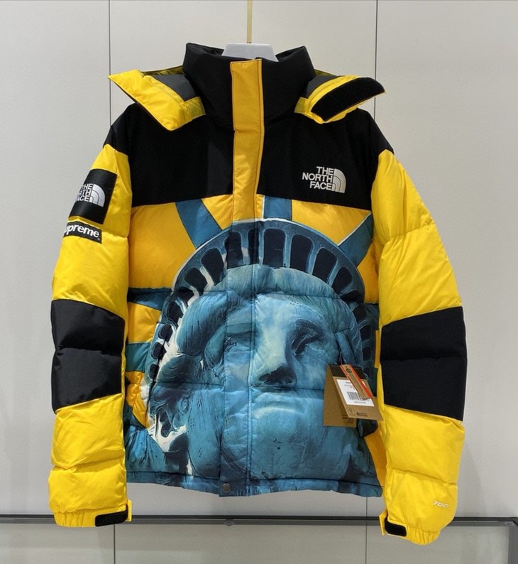 北面supreme 20fw联名款 科技防水自由女神羽绒服 情侣款