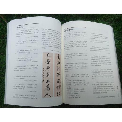 张大千画学精义(新版) 商品图1