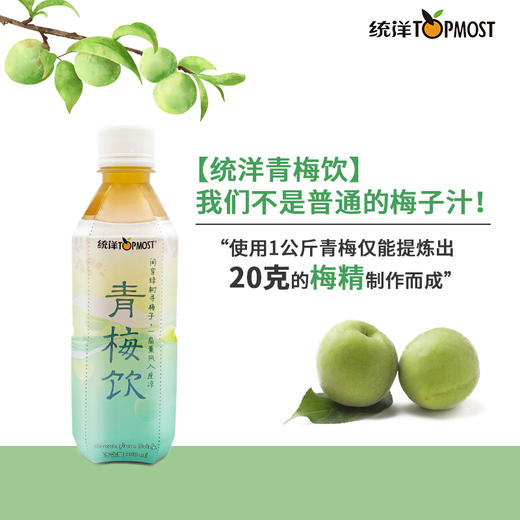 乐统洋酸梅汤  青梅汁 果味酸梅汁饮料 360ml/瓶 梅精饮奶茶店冰镇传统发酵酸甜青梅子汤冲饮原料 商品图0