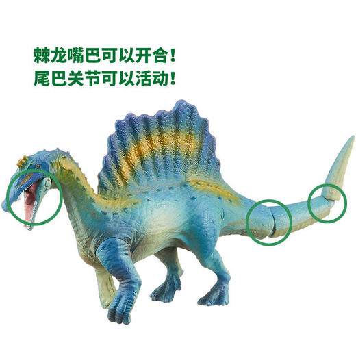 安利亚 - ANI-895664棘龙 商品图2