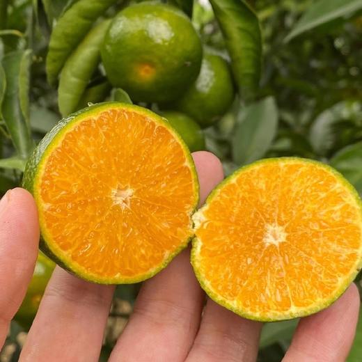 广西青皮蜜桔 3斤/5斤/8斤 商品图1