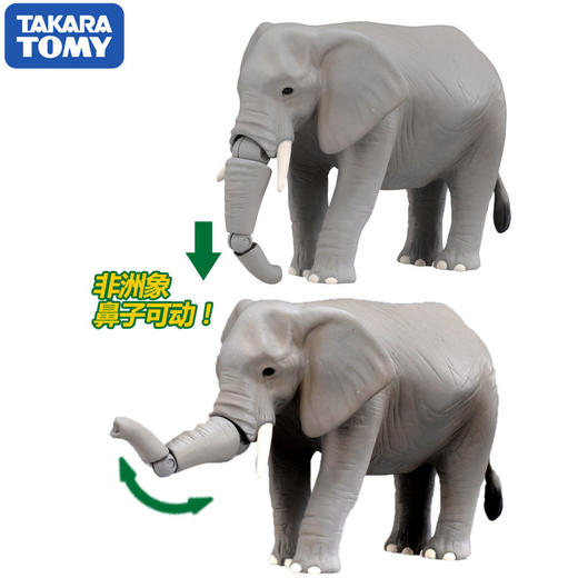 安利亚-非洲象NO.487920 商品图3