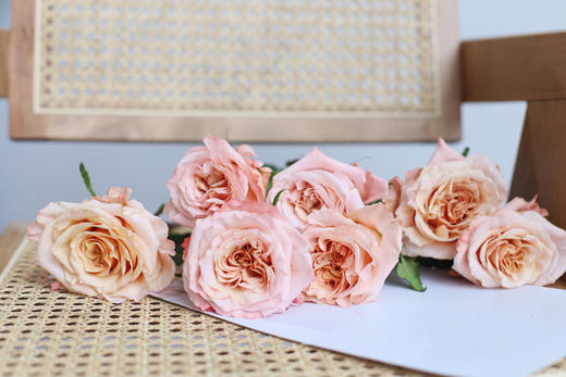 【你逆光而来 配得上这世间所有的好】简小姐精选 厄多瓜尔进口品种 稀有新品玫瑰 微光 2束包邮 下单72小时发货 商品图2