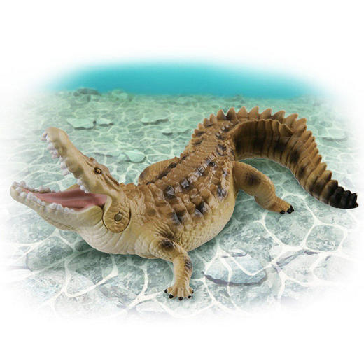 安利亚 - ANI-964896湾鳄 商品图3