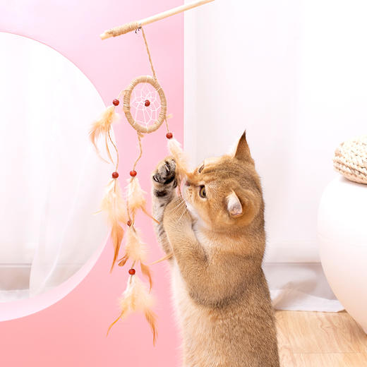 猫咪玩具捕梦网逗猫棒 商品图2