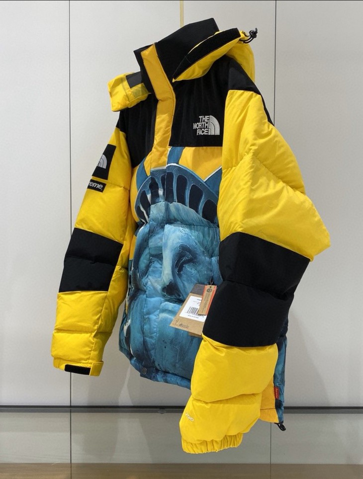 北面supreme 20fw联名款 科技防水自由女神羽绒服 情侣款