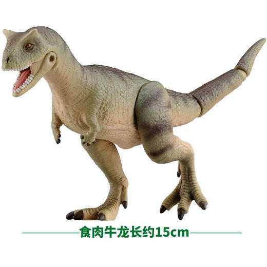 安利亚 -ANI-895671 食肉牛龙 商品图3