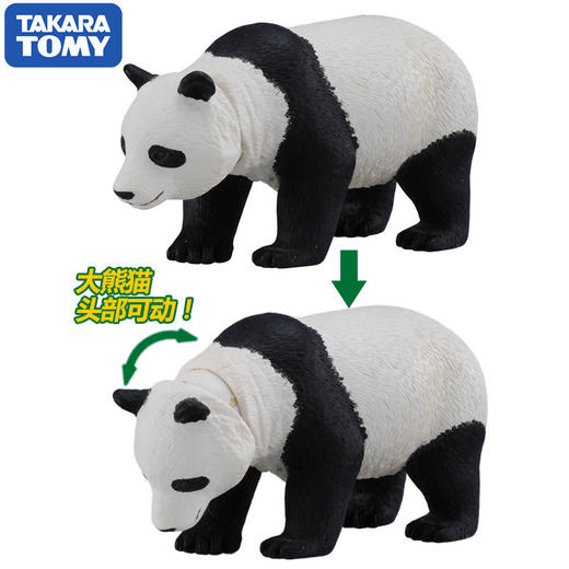 安利亚 - ANI-487937大熊猫 商品图2