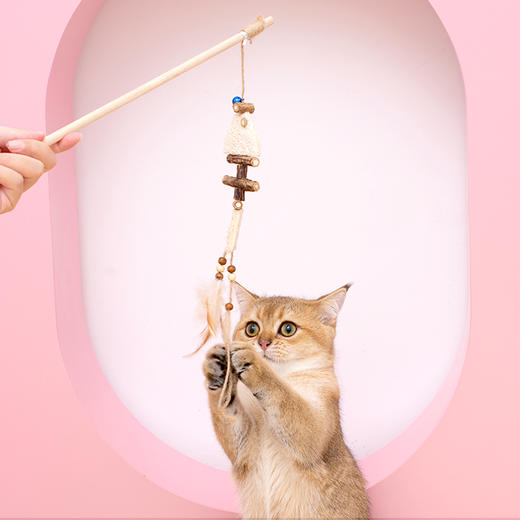 猫咪玩具捕梦网逗猫棒 商品图1