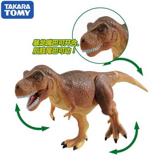 安利亚 - ANI-496267暴龙 商品图3