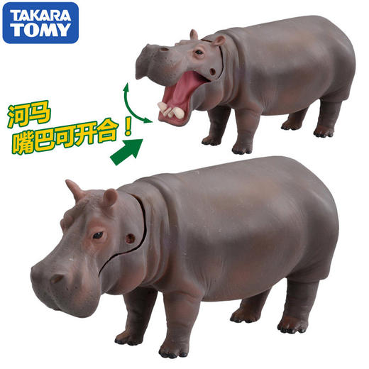 安利亚 - ANI-487968河马 商品图3
