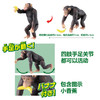安利亚 - ANI-981497黑猩猩 商品缩略图2