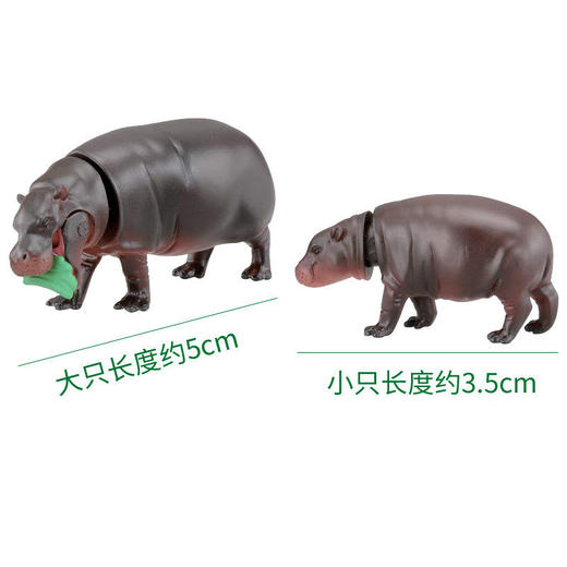 安利亚 - 125334倭河马 商品图2