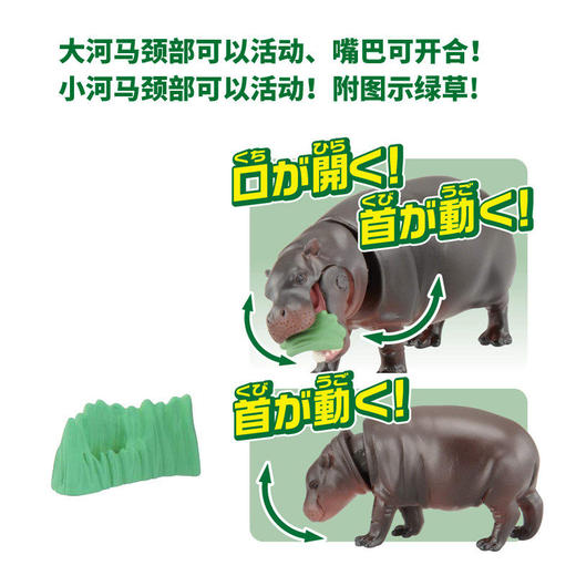 安利亚 - 125334倭河马 商品图3