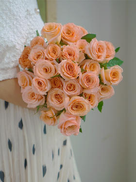 【你逆光而来 配得上这世间所有的好】简小姐精选 厄多瓜尔进口品种 稀有新品玫瑰 微光 2束包邮 下单72小时发货