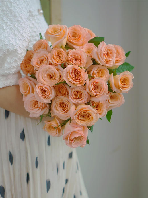 【你逆光而来 配得上这世间所有的好】简小姐精选 厄多瓜尔进口品种 稀有新品玫瑰 微光 2束包邮 下单72小时发货 商品图0