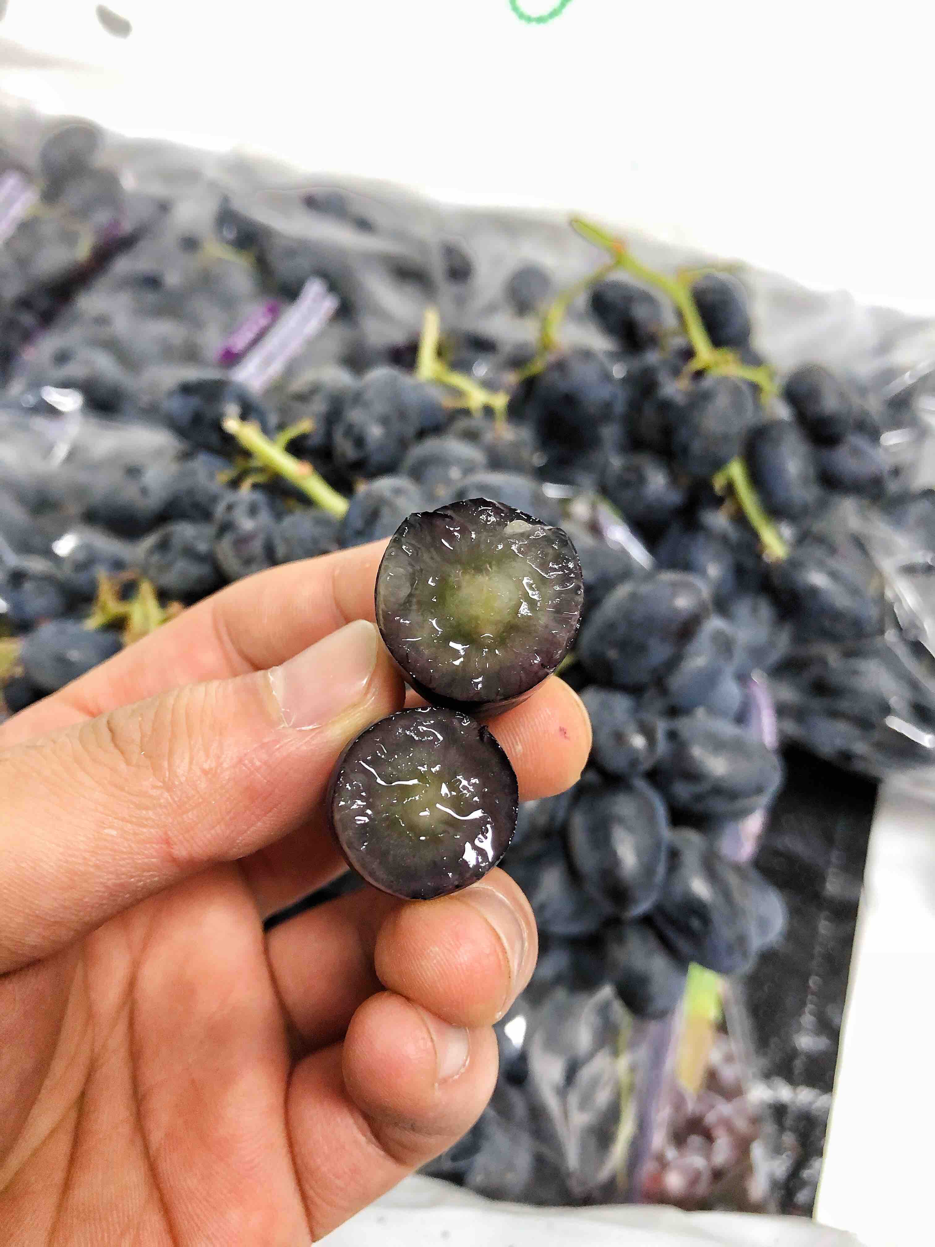 智利黑提智利无籽黑提颗粒椭圆果粒硬挺入口脆甜水分感好