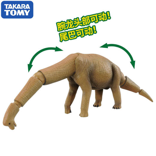 安利亚 - ANI-803676腕龙 商品图3