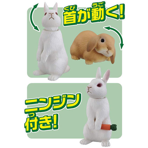 安利亚-白兔带萝卜 NO.ANI-119524 商品图3