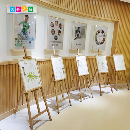 幼儿园区角博物馆 植物标本系列 商品图3
