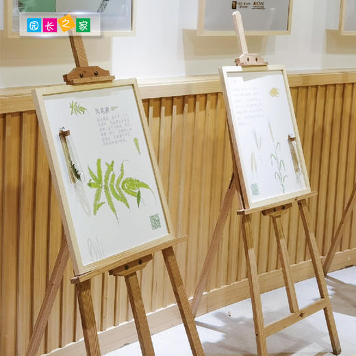 幼儿园区角博物馆 植物标本系列 商品图2