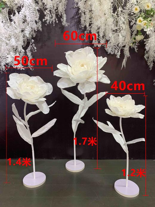 雪莲花【运费自理】 商品图1