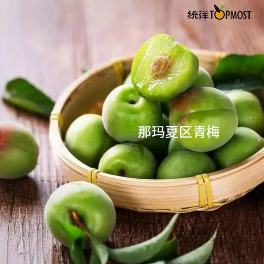 乐统洋酸梅汤  青梅汁 果味酸梅汁饮料 360ml/瓶 梅精饮奶茶店冰镇传统发酵酸甜青梅子汤冲饮原料 商品图4