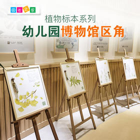 幼儿园区角博物馆 植物标本系列